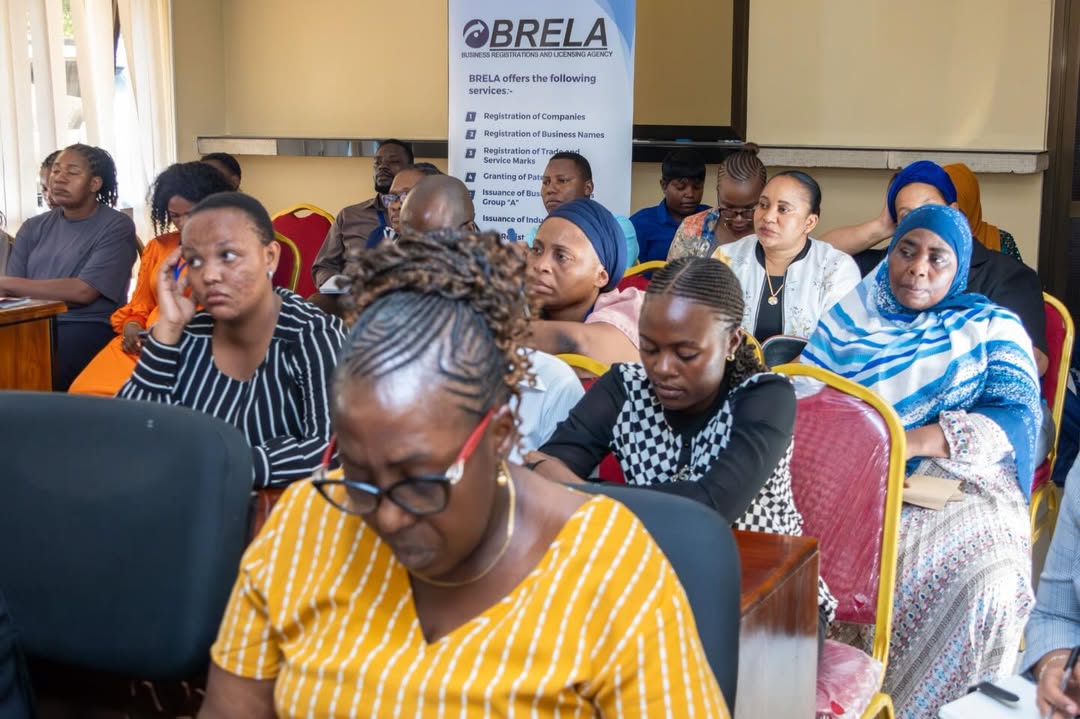 BRELA Experts Conducting Training